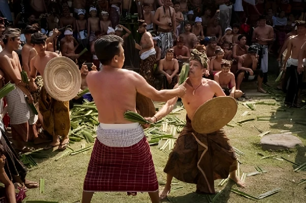 5 Fakta unik Perang Pandan Desa Tenganan Bali 5 Fakta unik Perang Pandan Desa Tenganan Bali