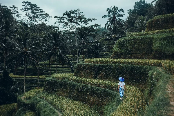 Petualangan Wisata Alam yang Asri 1